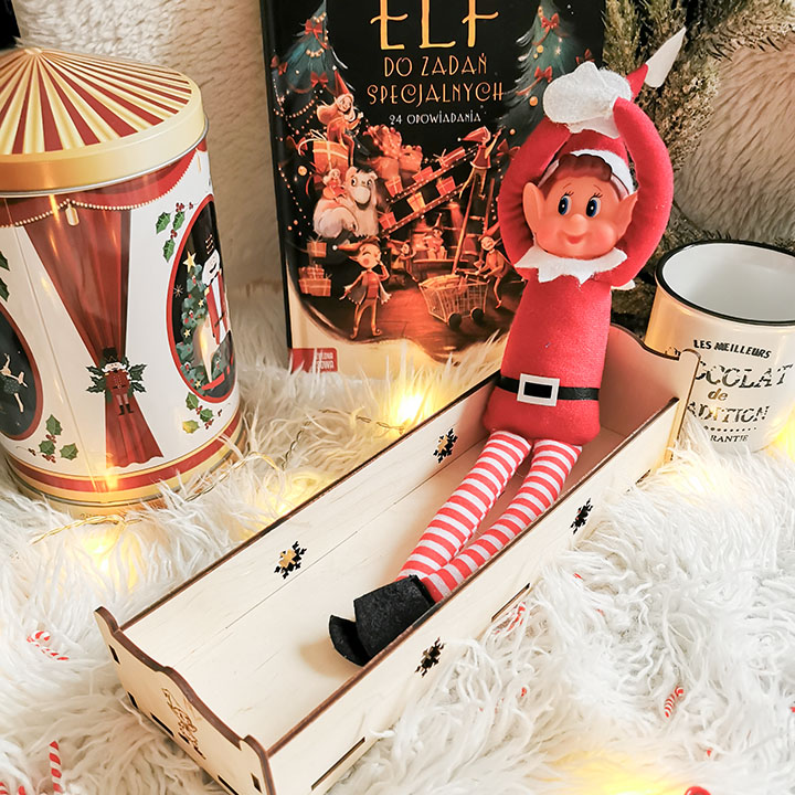 Elf-Psotnik-z-akcesoriami-i-z-książką