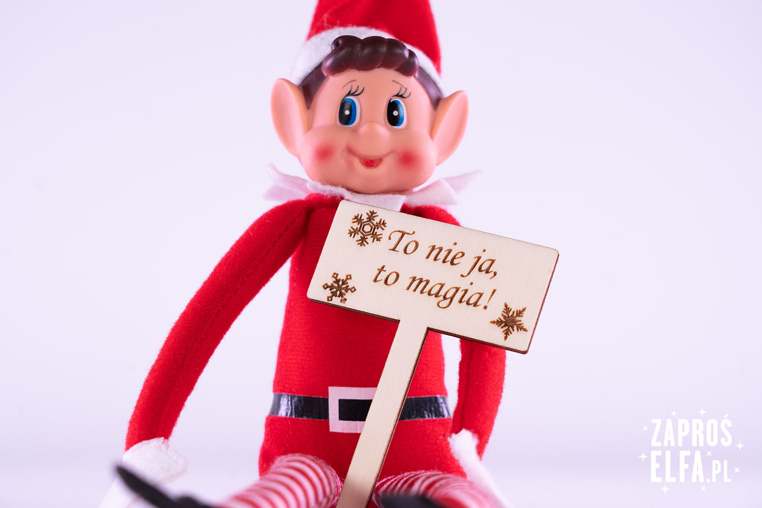 transparenty z napisami Elf